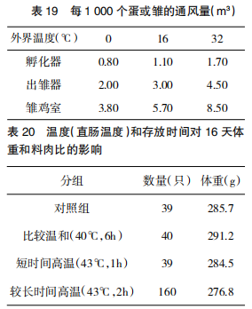 现代肉种鸡孵化管理中应关注的重点