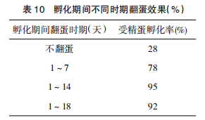 现代肉种鸡孵化管理中应关注的重点