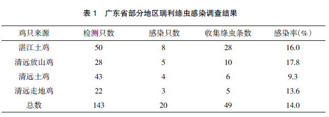 广东部分地区鸡瑞利绦虫感染调查与鉴定