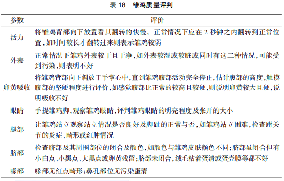 现代肉种鸡孵化管理中应关注的重点
