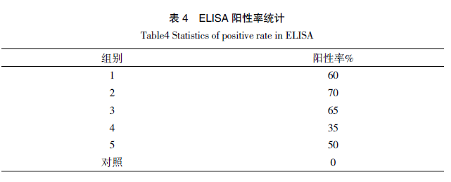 鸡传染性支气管炎弱毒疫苗 NNA 对黄鸡的免疫保护效力评估