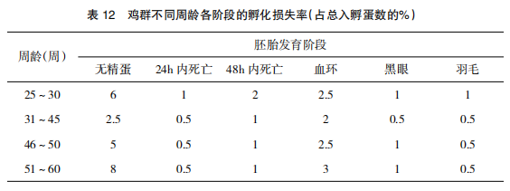 现代肉种鸡孵化管理中应关注的重点