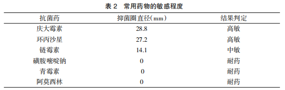 鸡大肠杆菌的分离鉴定及药敏试验