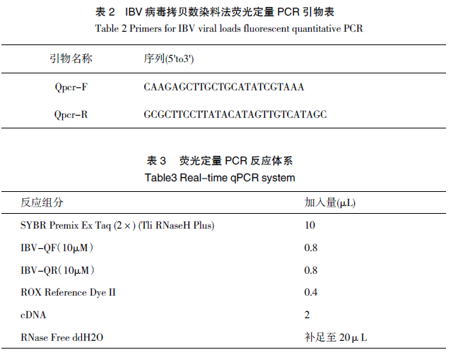 鸡传染性支气管炎弱毒疫苗 NNA 对黄鸡的免疫保护效力评估