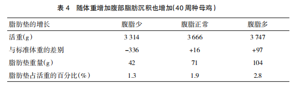 现代肉种鸡产蛋高峰后管理的关键