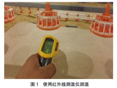 如何正确评估育雏温度