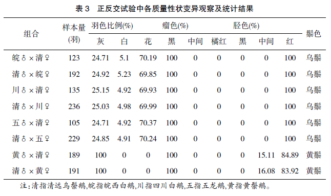 广东鹅优质高产系选育及配套应用