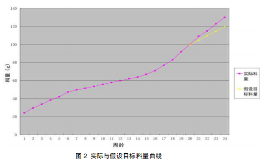 现代肉种鸡产蛋高峰后管理的关键