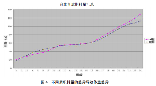 现代肉种鸡产蛋高峰后管理的关键