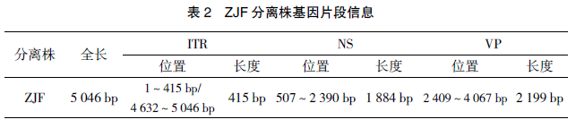 广东地区小鹅瘟病毒分离鉴定及全基因序列的测定分析