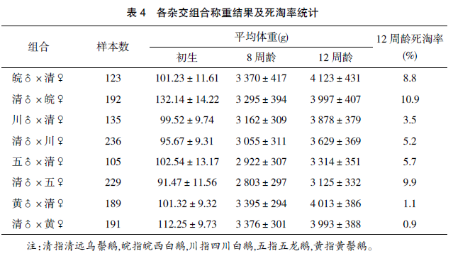 广东鹅优质高产系选育及配套应用