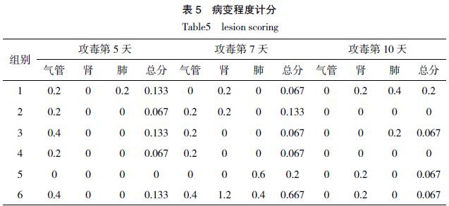 鸡传染性支气管炎弱毒疫苗 NNA 对黄鸡的免疫保护效力评估