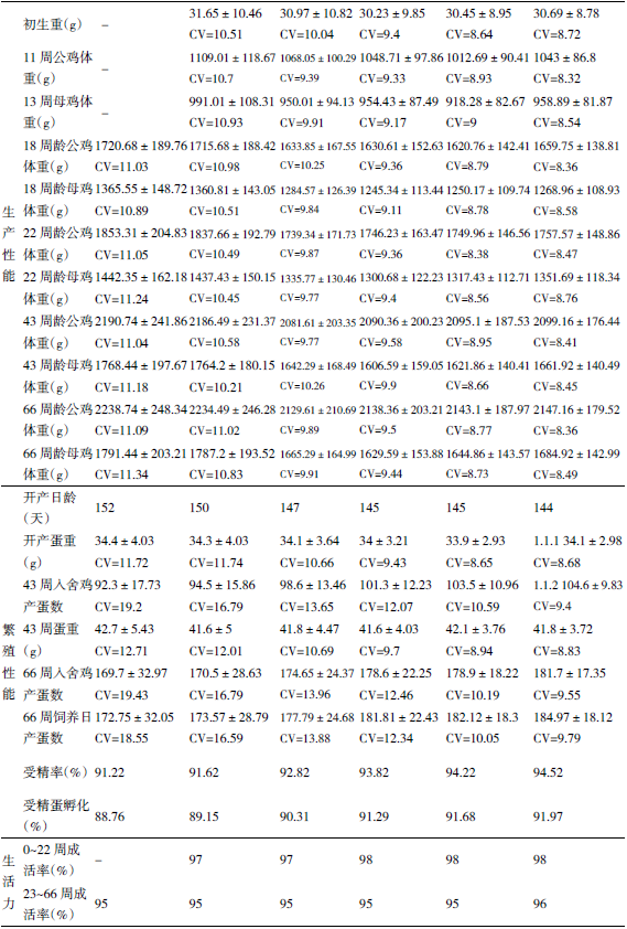 广西三黄鸡选育及产业化