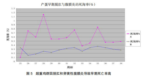 现代肉种鸡产蛋高峰后管理的关键