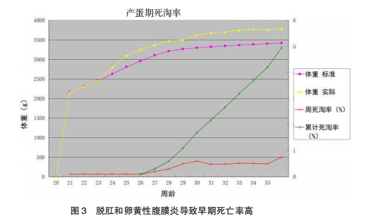 现代肉种鸡产蛋高峰后管理的关键