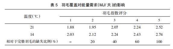 现代肉种鸡产蛋高峰后管理的关键