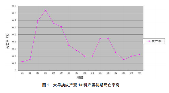 现代肉种鸡产蛋高峰后管理的关键