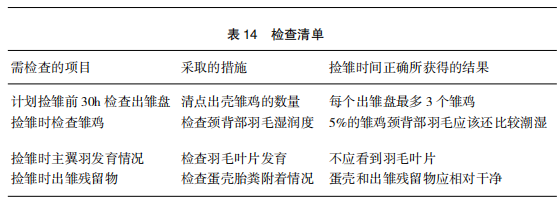 现代肉种鸡孵化管理中应关注的重点