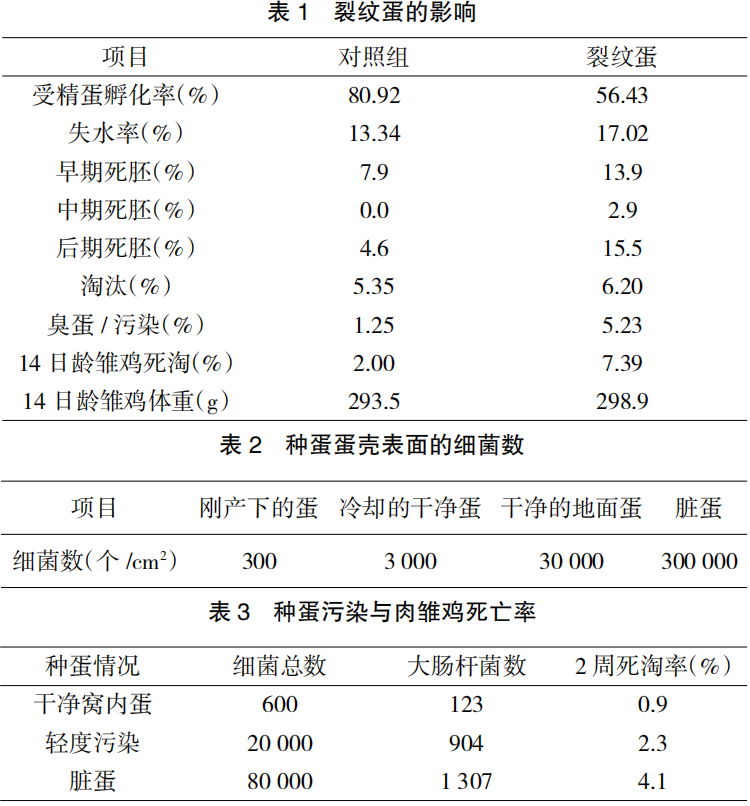 现代肉种鸡生产中蛋壳质量的管理要点