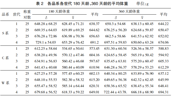 天翔鸽各纯系世代选育效果
