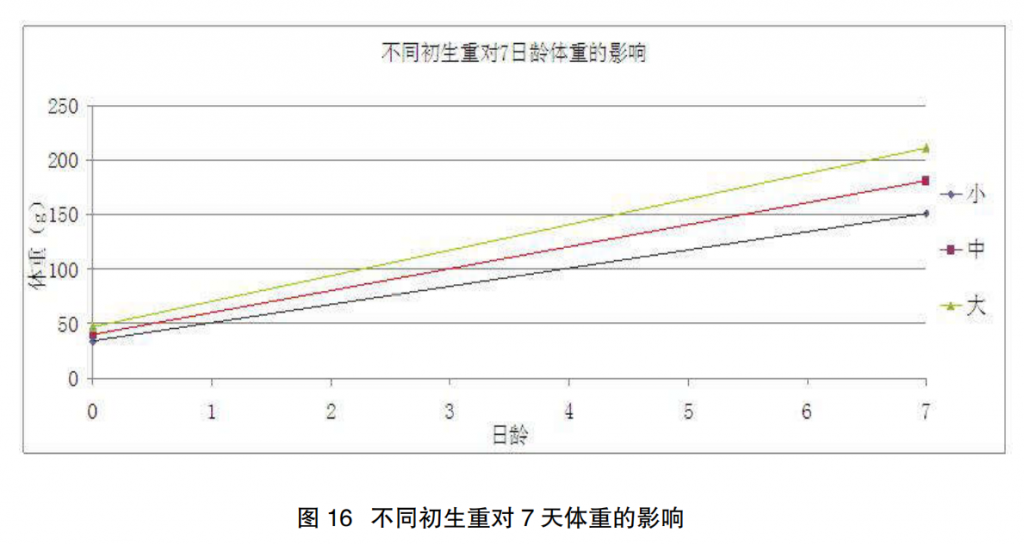 现代肉种鸡育雏实际操作方法(二)