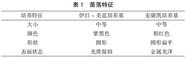山东滨州鸡大肠杆菌分离鉴定及耐药性分析