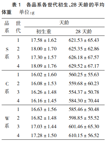 天翔鸽各纯系世代选育效果
