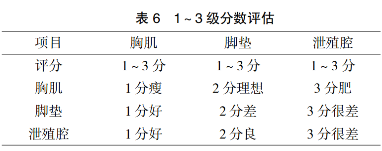 现代肉种鸡群体况的评估