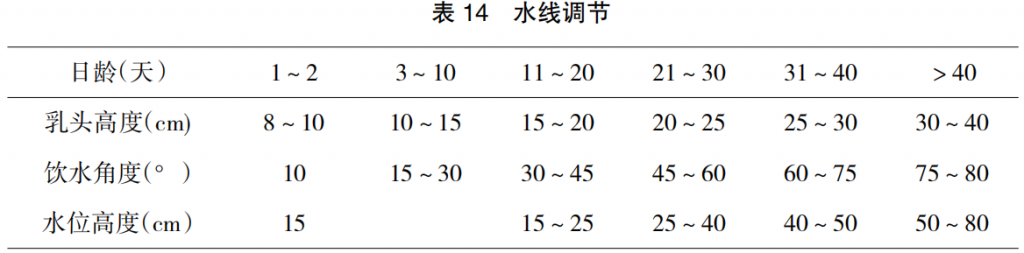 现代肉种鸡育雏实际操作方法(二)