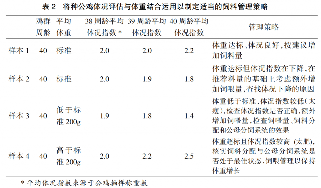 现代肉种鸡群体况的评估