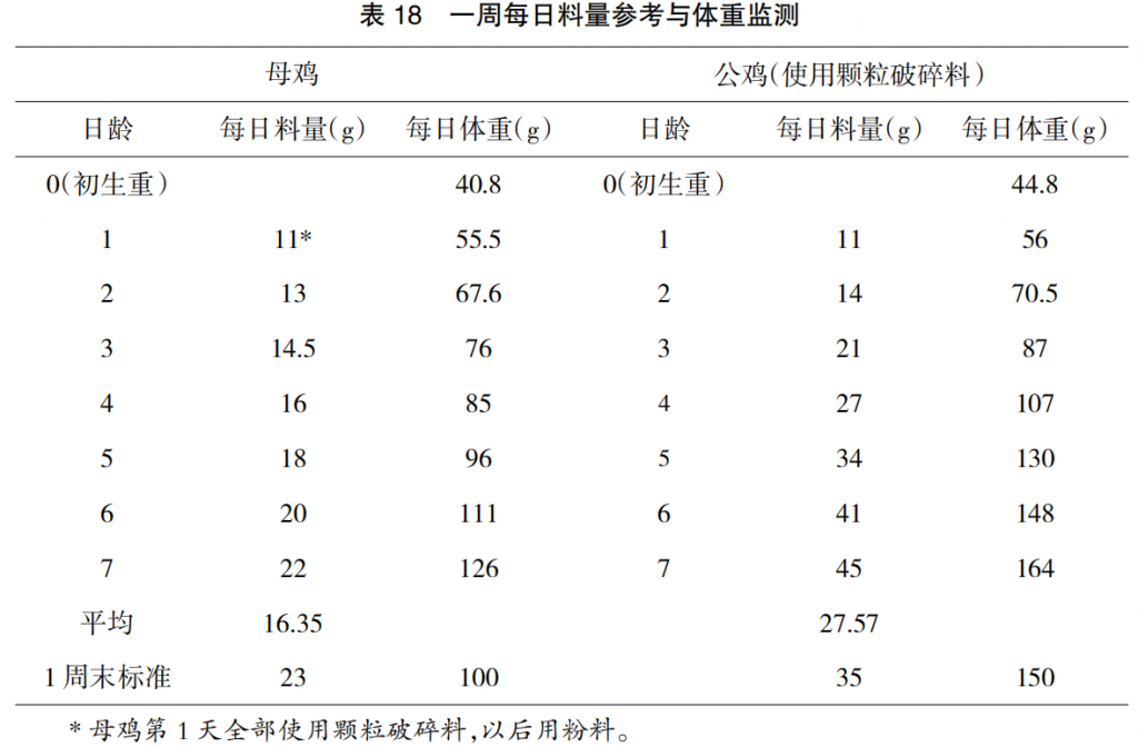 现代肉种鸡育雏实际操作方法(二)