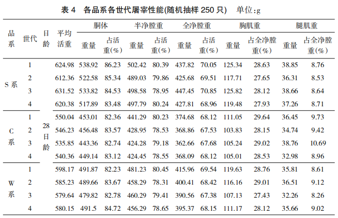天翔鸽各纯系世代选育效果