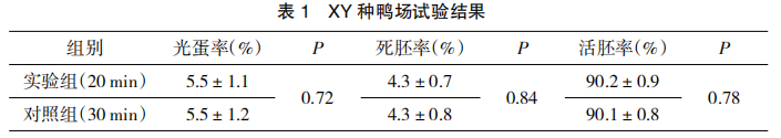 番鸭人工授精时间对受精率的影响