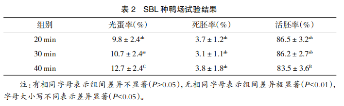 番鸭人工授精时间对受精率的影响
