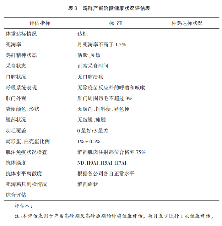 现代肉种公鸡40周后的管理重点