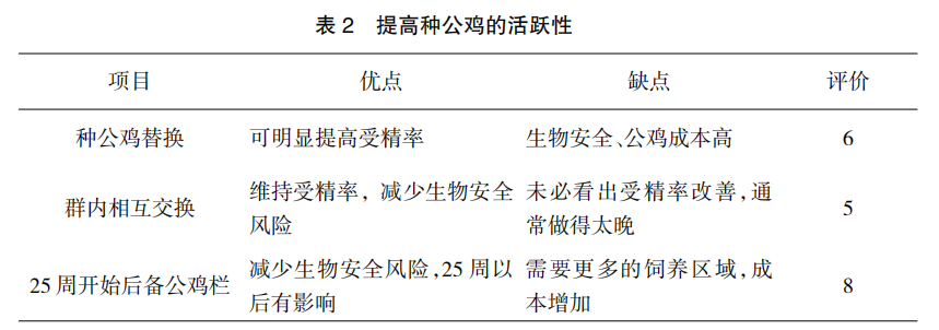 现代肉种公鸡40周后的管理重点