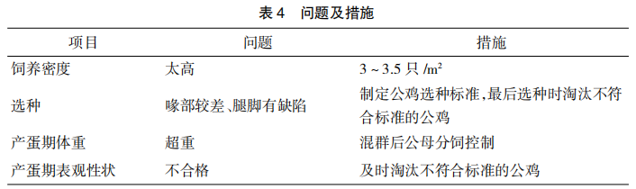 现代肉种公鸡40周后的管理重点
