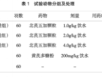 北芪五加颗粒对雏鸡新城疫疫苗免疫应答及生长发育影响