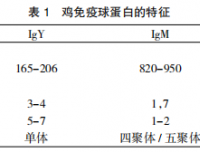 禽类免疫球蛋白