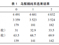 广东鹅优质高产系选育及配套应用