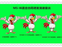 今冬明春蛋鸡主产区主要疫病流行情况预测分析