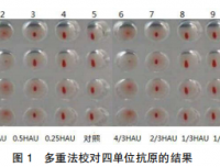 血凝抑制试验单位抗原的配置方法探讨