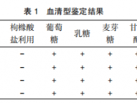 鸡大肠杆菌的分离鉴定及药敏试验