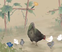 怎样满足和调控肉种鸡的能量需要