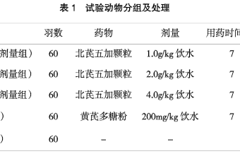 北芪五加颗粒对雏鸡新城疫疫苗免疫应答及生长发育影响
