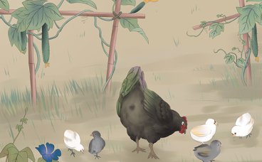 家禽翅静脉采血方法的改进