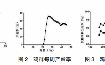 1例三黄鸡J亚群禽白血病的诊断报告