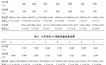 广西三黄鸡选育及产业化