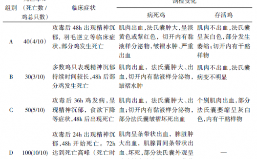 鸡传染性法氏囊病病毒不同攻毒方法致病效果试验