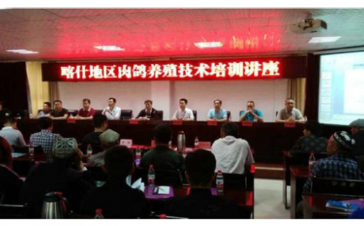 科技支疆，助力新疆鸽业发展